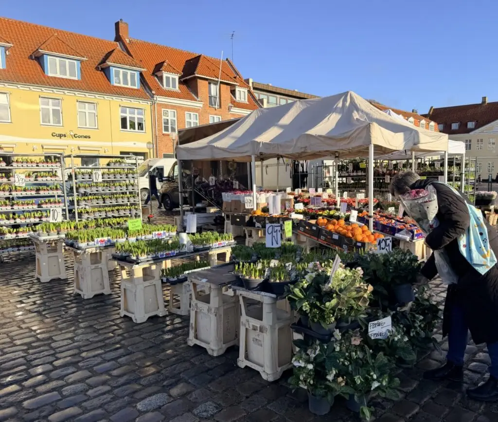 Forår i Køge: Tre oplevelser for dig og din familie - Søndre Kyst